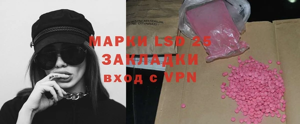 прущие грибы Абинск