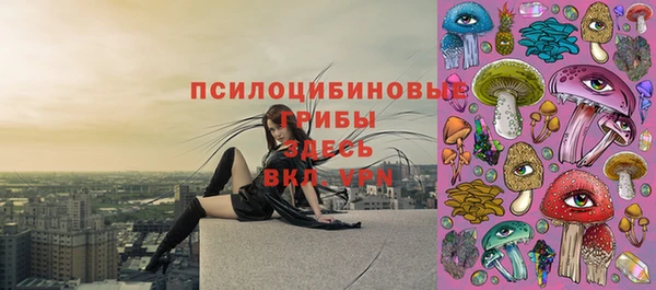 прущие крисы Алексеевка
